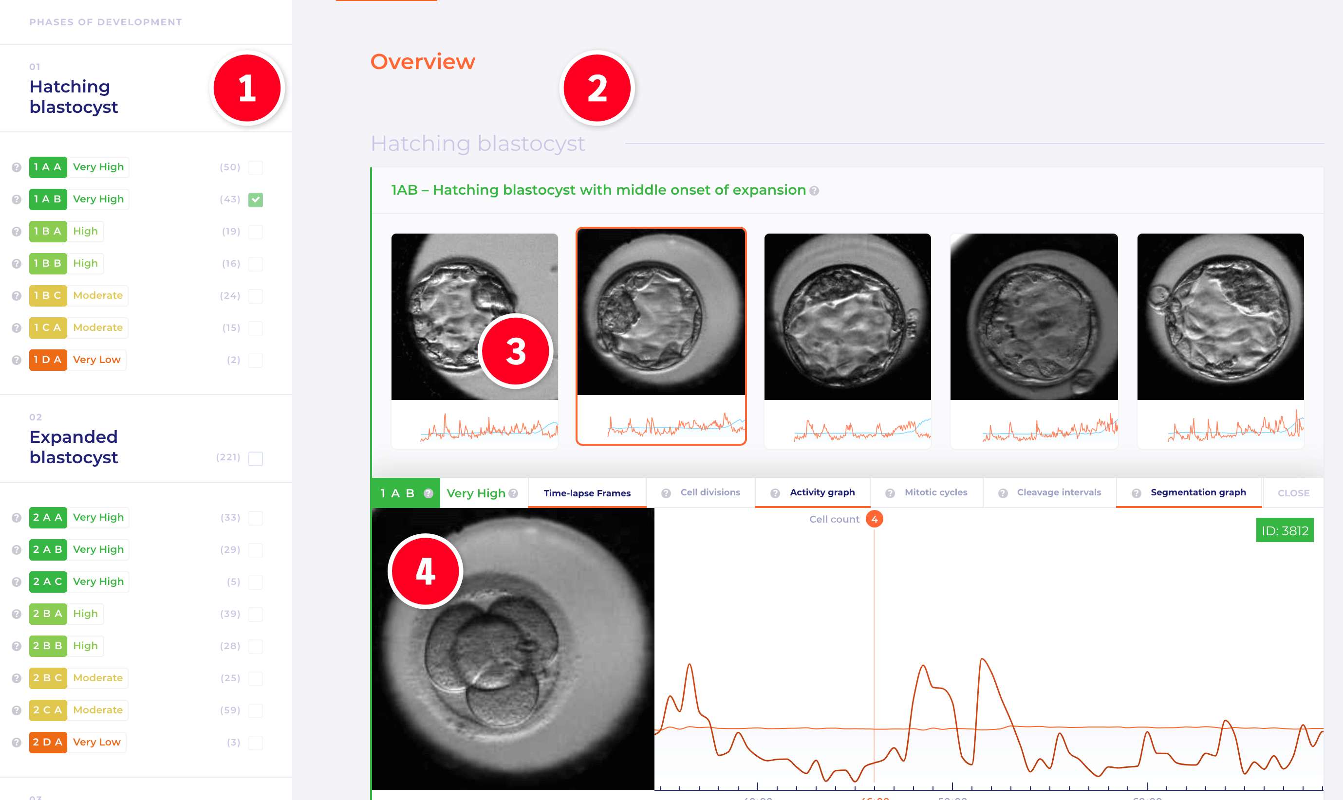 Embryo Library Workspace